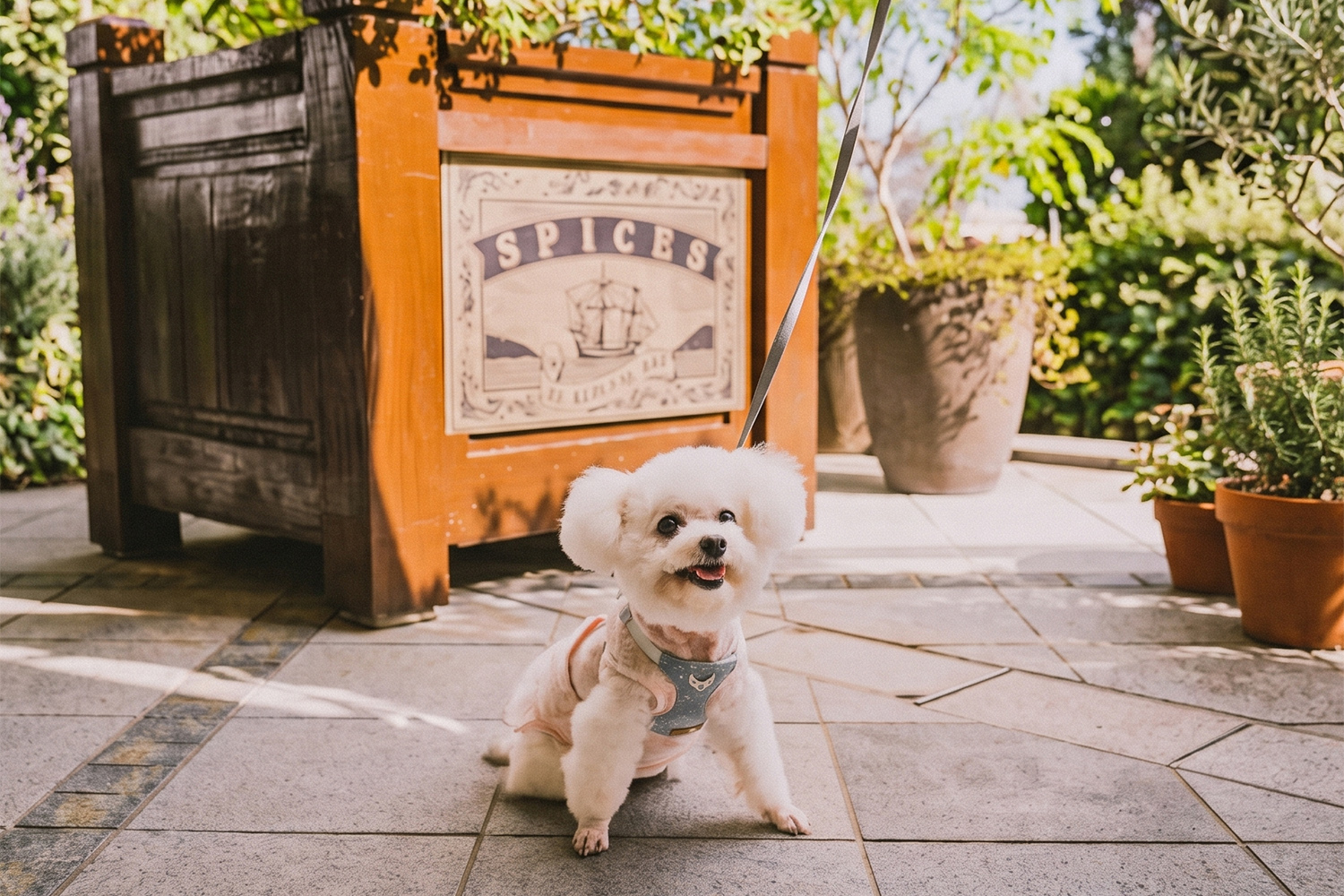 香港淺水灣影灣園 | 餐飲 | 香辣軒 | 香港寵物友善餐廳