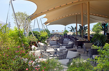 spicesrepulsebay