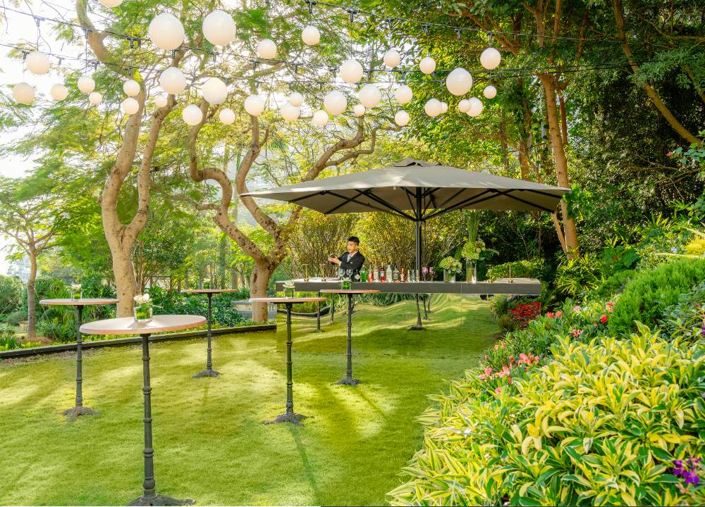 Celebrations_Clebrate and cheer_The Secret Garden