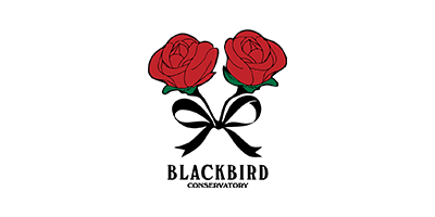 香港淺水灣影灣園購物商場 | 商店 | Blackbird Conservatory | 時尚花藝門店